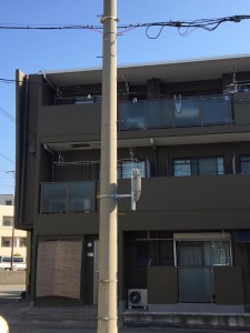 image4.jpeg