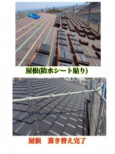 image1_3.jpeg
